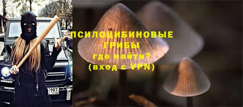 Галлюциногенные грибы Magic Shrooms  Орлов 